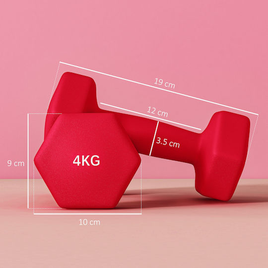 Sportnow Hanteln Sechseck 1 x 4kg