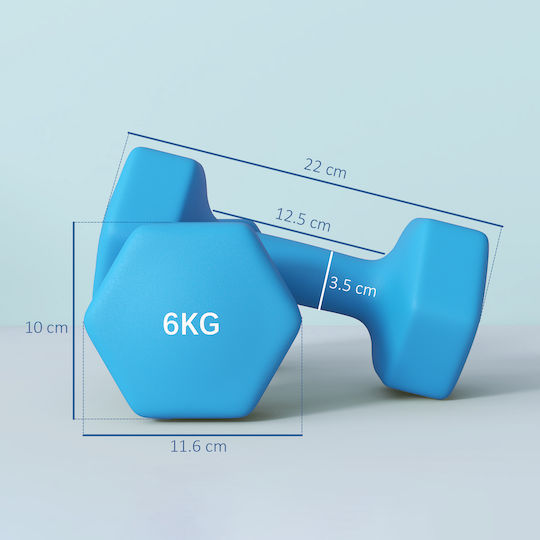 Sportnow Βαράκι Εξάγωνο 1 x 6kg