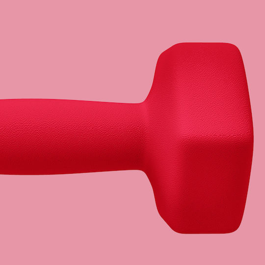 Sportnow Hanteln Sechseck 1 x 4kg