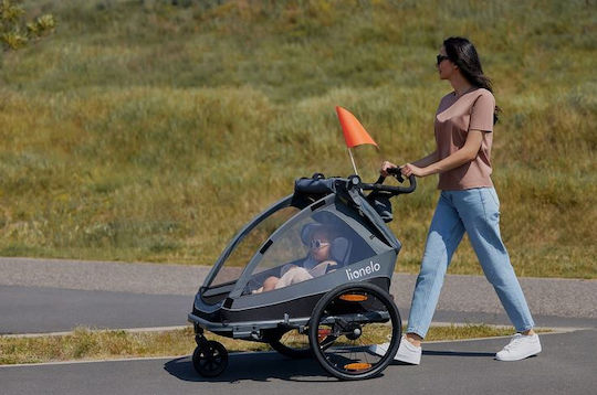 Lionelo Cama Kinderwagen Geeignet ab 6+ Monaten Gray Graphite