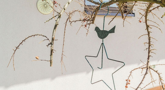 Kadax Hanging Feeder 30cm Bird Food