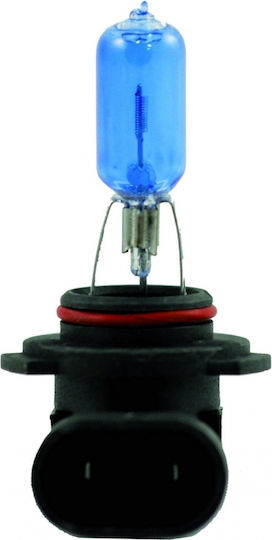Type-R Λάμπες Αυτοκινήτου HB3 Αλογόνου Λευκό 12V 65W 2τμχ