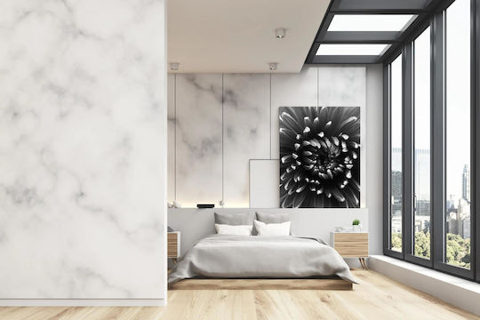 Abstract Black And White Flower Αφηρημένο Μαύρο Και Άσπρο Λουλούδι