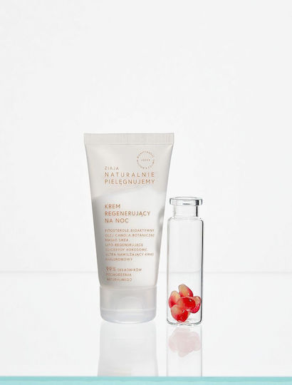 Ziaja Cream Face Night 50ml