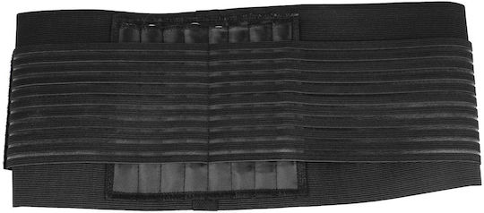 Pegasus Spiral Waist Support Belt 2103
