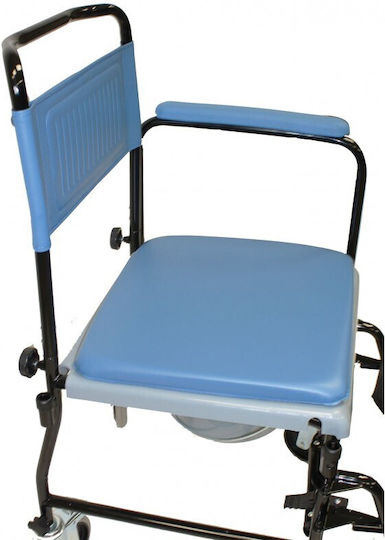 Folding Sanitary Toilet Wheelchair