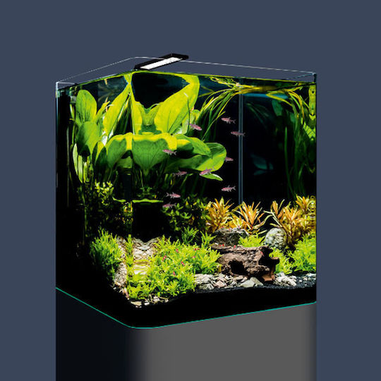 Dennerle Nano Cube Basic 60lt