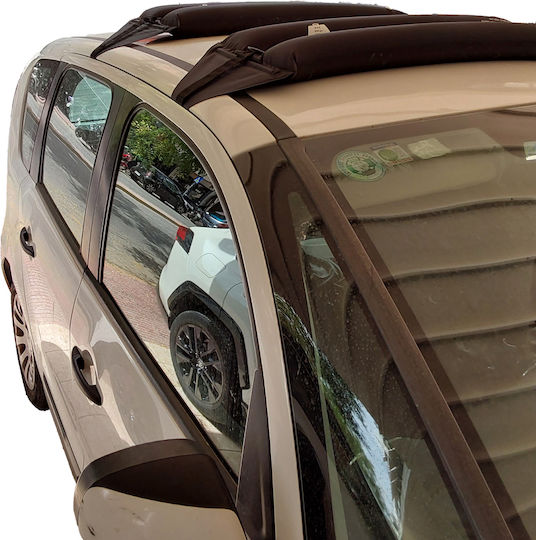 HandiWorld für Citroen C3 Picasso / C3 Chevrolet C3 Picasso 2012-2016 (ohne Beine)
