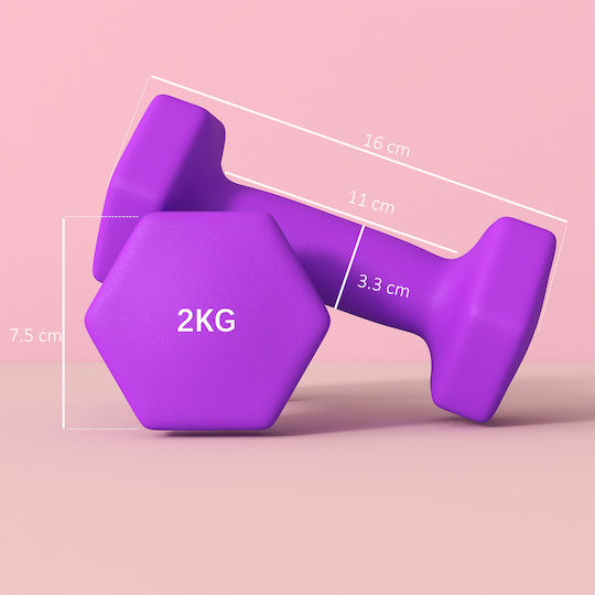 Sportnow Βαράκι Εξάγωνο 1 x 2kg