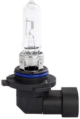 M-Tech Lamps Car HB3-9005 Halogen 80W 1pcs