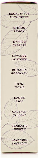 Phyto Polleine Scalp Solution Fortifying Balancing Concentrate Pre Wash Serum για Ενδυνάμωση 30ml