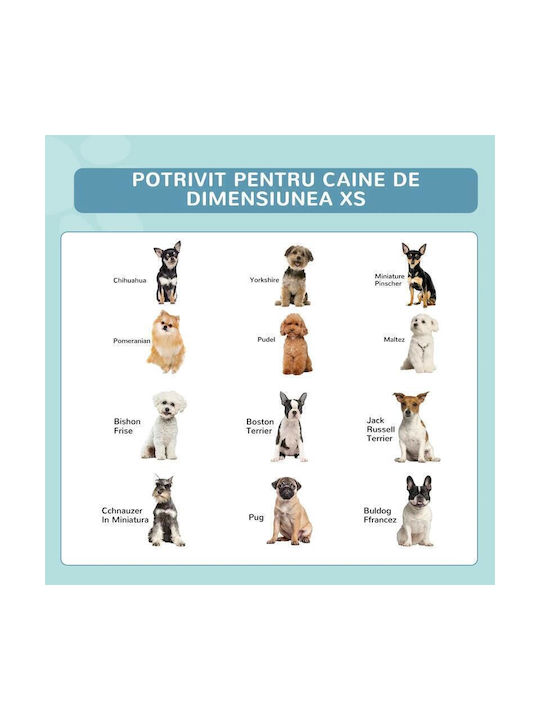Dog Pool 80εκ. Blue 1pcs