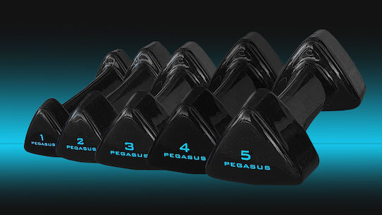 Pegasus Vinyl Dumbbell 1 x 1kg