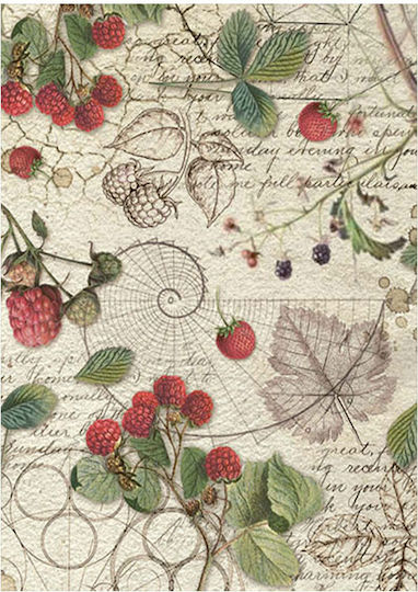 Σετ 8 Ριζόχαρτα Ντεκουπάζ Stamperia 10.5×14.8cm Backgrounds Forest