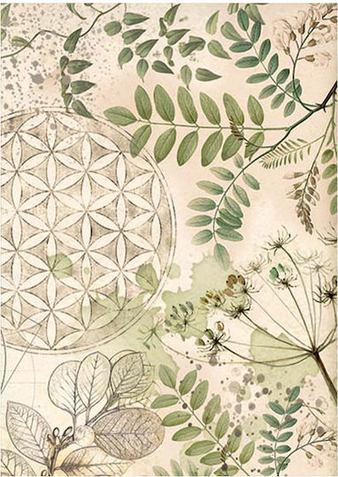 Σετ 8 Ριζόχαρτα Ντεκουπάζ Stamperia 10.5×14.8cm Backgrounds Forest