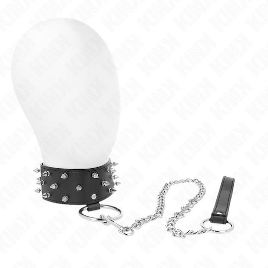 Kink Halsband in Silber Farbe