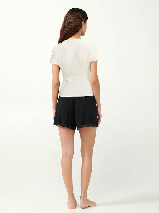 Vamp