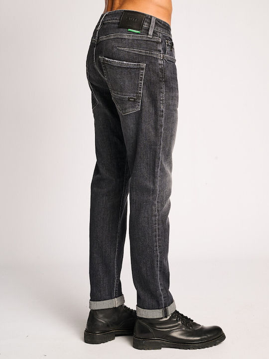 Staff Herren Jeanshose Grey