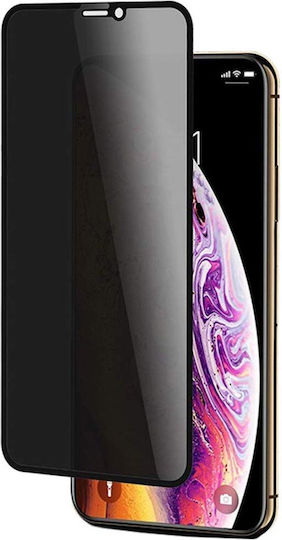 SiiPro Privatsphäre Vollflächig gehärtetes Glas (iPhone 13 Pro Max)