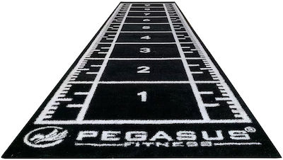 Pegasus Synthetic Black Turf 321031591