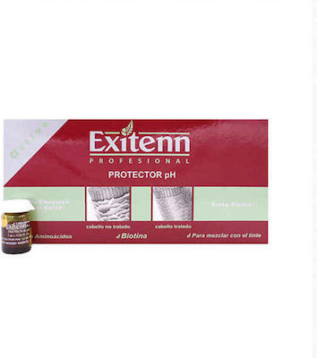 Exitenn Professional για Ενίσχυση & Διάρκεια Χρώματος 60ml