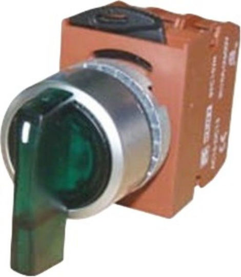 Cntd Φ22 1-0-2 2NO 24VAC/DC R2SIL-G RNY On-Off switch Rotary Green 1pcs
