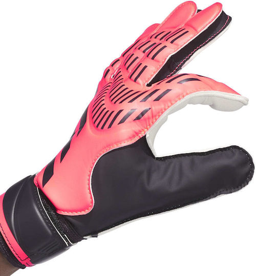 adidas Predator Training Torwarthandschuhe Erwachsene Rot