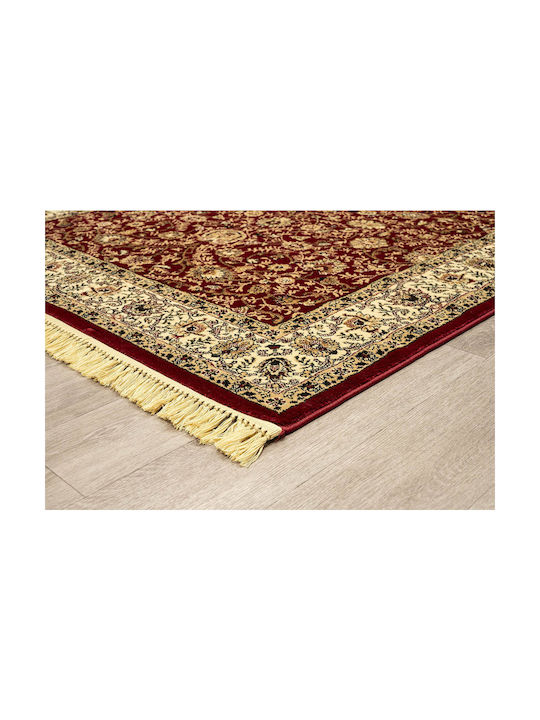 Newplan Rug Rectangular Red