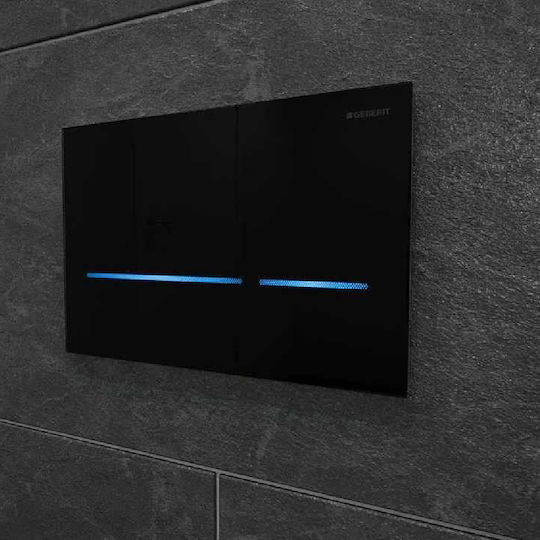 Geberit Flush Plate Dual Flush