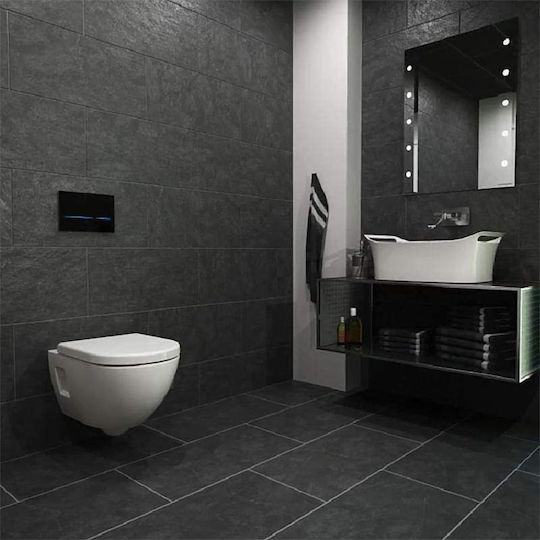 Geberit Flush Plate Dual Flush