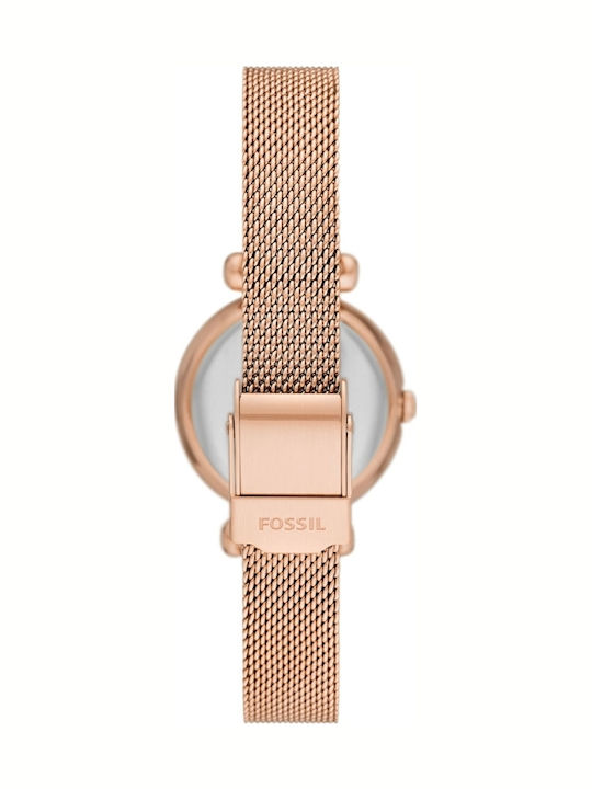 Fossil Tillie Fossil Tillie