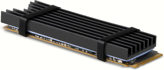 Axagon M.2 SSD-Kühlung 80mm SSD ALU Gehäuse Silikon-Wärmepads Höhe 6mm Schwarz