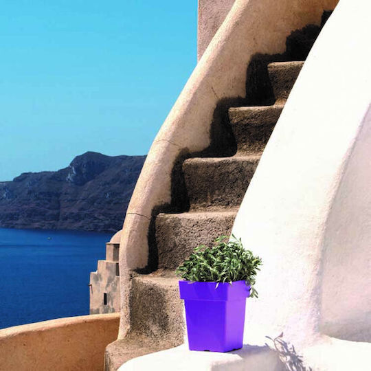 Homestyle Pot Plastic Green