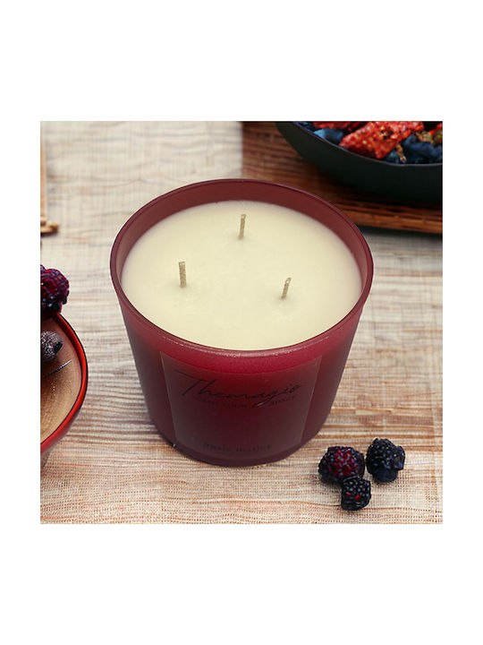 Themagio Exotic Sunset Scented Soy Candle 600g 1 Piece