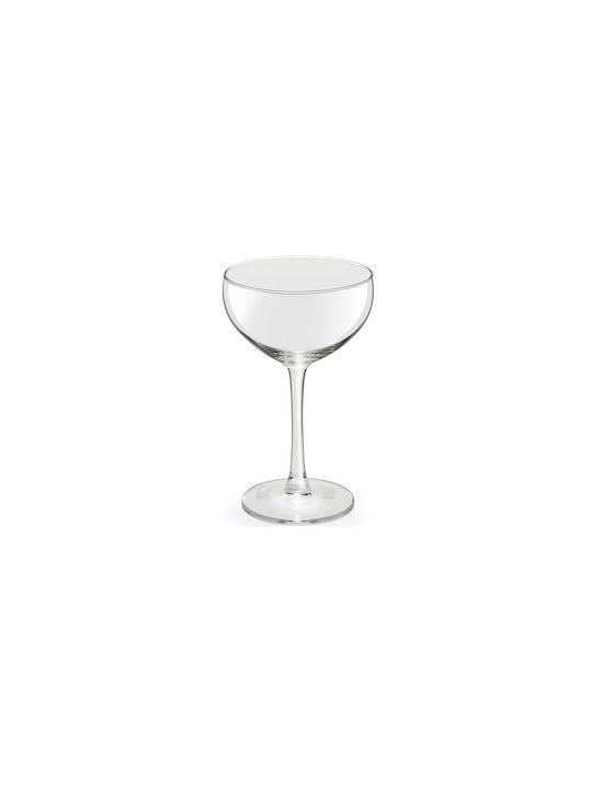 Libbey Glass Champagne made of Glass Goblet 240ml