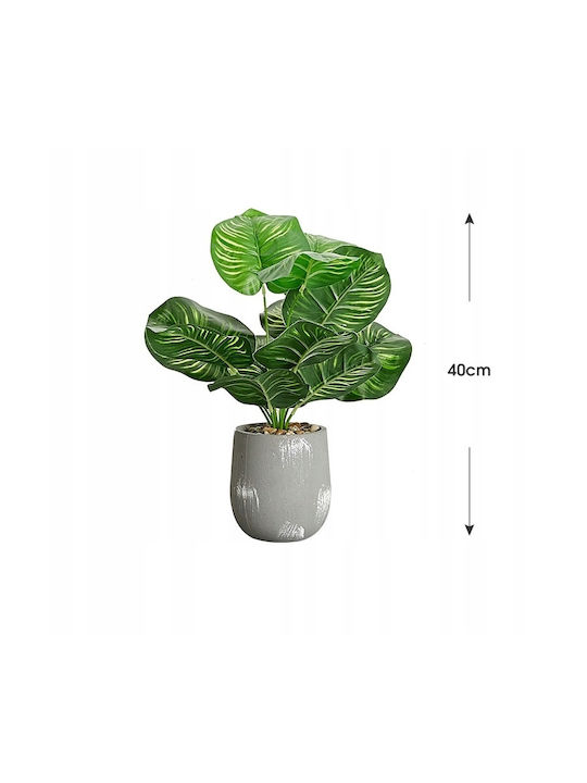 Plantă Artificială în Ghiveci Mic Calathea 37cm