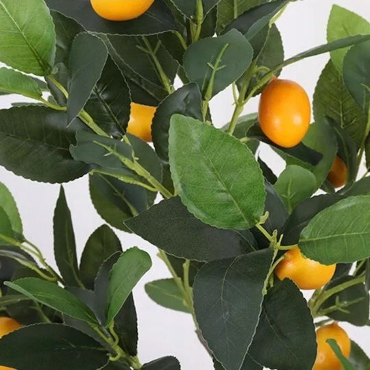 Λεμονιά σε Γλάστρα Κίτρινο 90cm