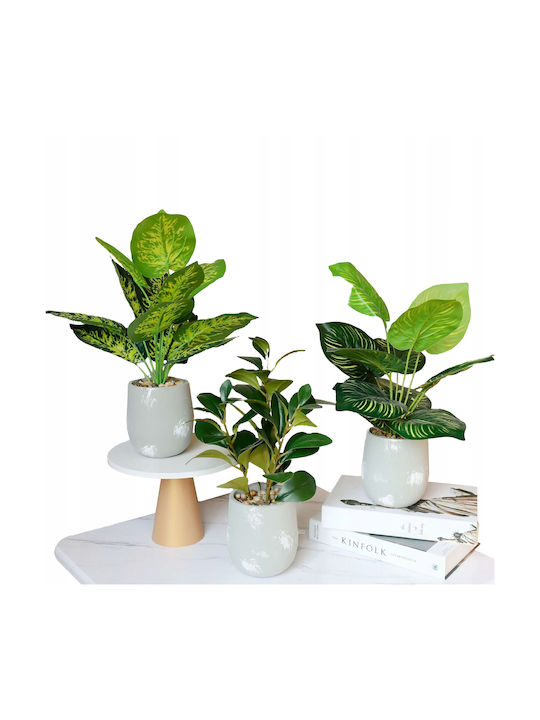Plantă Artificială în Ghiveci Mic Calathea 37cm