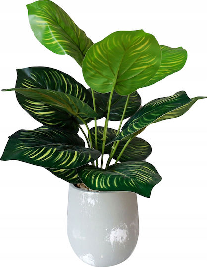 Artificial Plant in Small Pot Calathea 37cm
