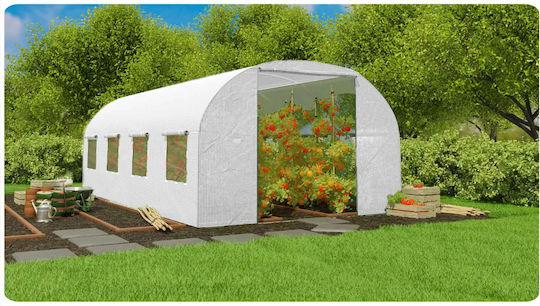 Seră Tunel 4.5x3x2m