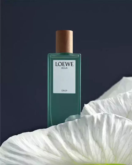 Loewe Agua Eau de Parfum 100ml