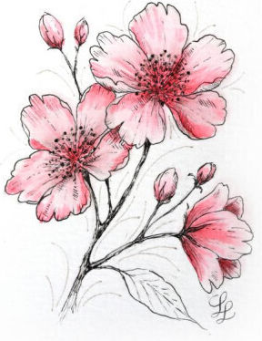 Sakura Art Creative Kit Cherry Blossom