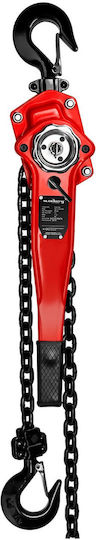 Chain Hoist Winch 3t 3m