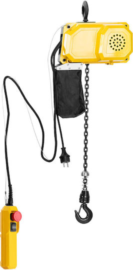 Electric Chain Hoist Winch Workshop 300 Kg 3 M