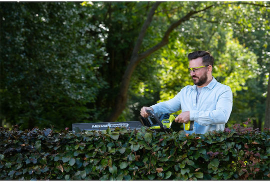 Ryobi One+ Teleskopisch mit Klingenlänge 55cm