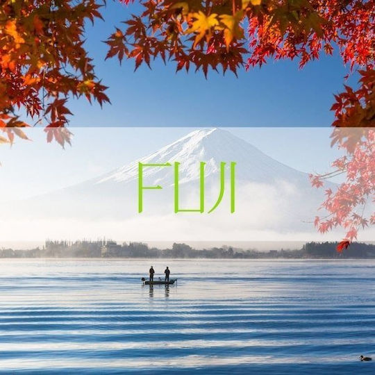 Luftreiniger Vinove Fuji Original