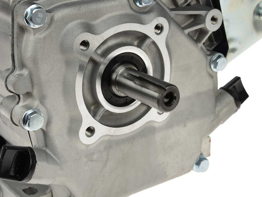 6.5 Hp Internal Combustion Engine Geko G80252