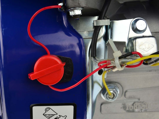 6.5 Hp Internal Combustion Engine Geko G80252