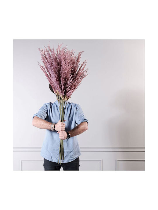 Τεχνητό Διακοσμητικό Κλαδί Pampas grass Ροζ 124cm Supergreens