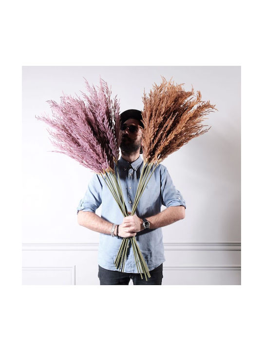 Τεχνητό Διακοσμητικό Κλαδί Pampas grass Ροζ 124cm Supergreens